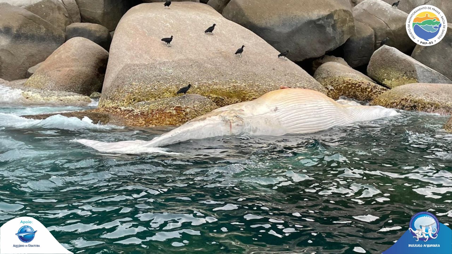 Estudantes de Santos vão atuar na prática para o monitoramento dos oceanos