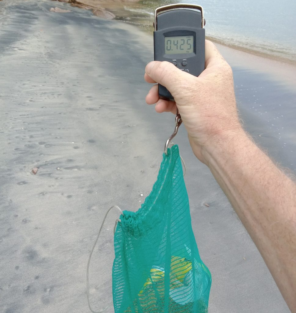 Lixo encontrado na praia Cocanha, em Caraguatatuba/SP, sendo pesado pela equipe do Instituto Argonauta: (Créditos: Divulgação/Instituto Argonauta)
