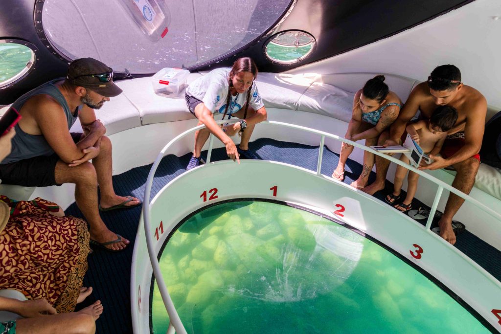 Embarcação Nautilus conta com uma tecnologia inovadora de visão subaquática através de seu fundo transparente, em formato de bolha. (Créditos: Divulgação/Instituto Argonauta)