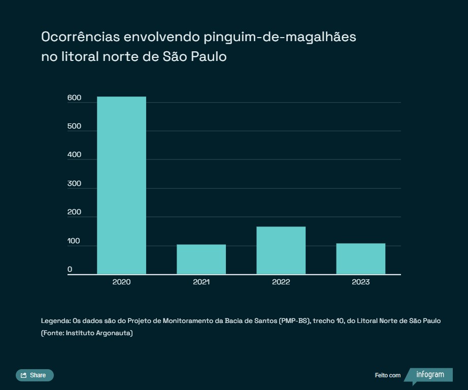 Os dados são do Projeto de Monitoramento da Bacia de Santos (PMP-BS), trecho 10, do Litoral Norte de São Paulo. Dados de 2023 contabilizados até o dia 17/07/2023. (Fonte: Instituto Argonauta). 
Acesse: https://infogram.com/pinguins-de-magalhaes-1hzj4o3zdk7q34p 
