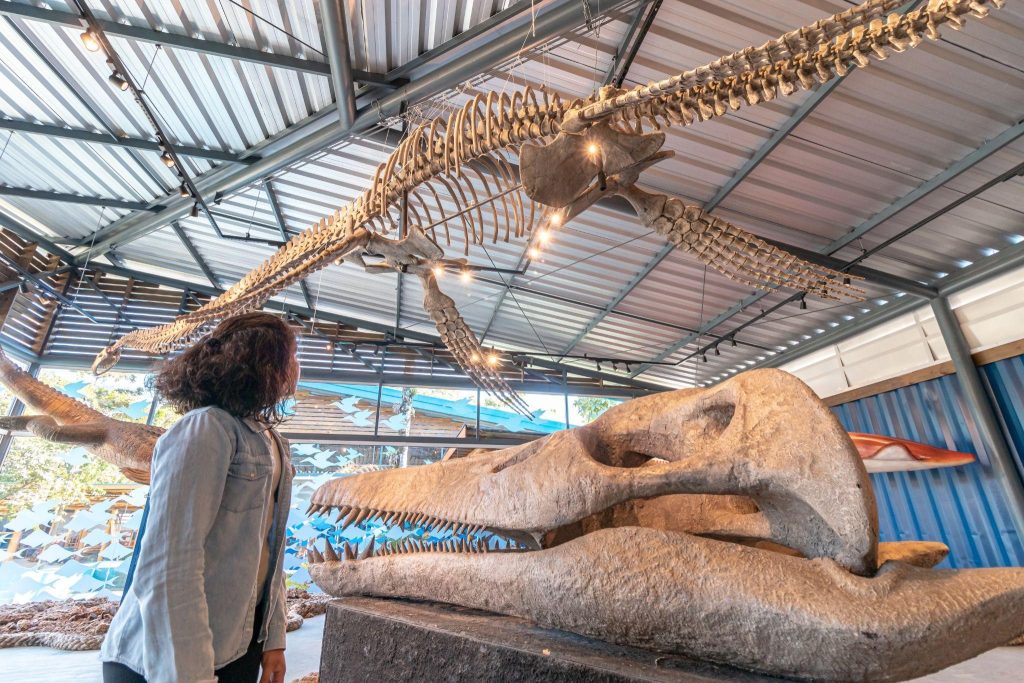 O Museu convida o público para uma viagem no tempo – aprender mais sobre como surgiu a vida nos oceanos (Créditos da foto: Felipe Domingos/Museu da Vida Marinha)